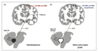 Association ARNP