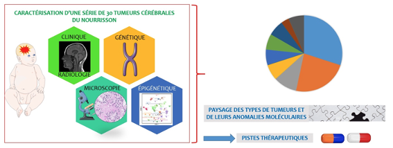 Association ARNP